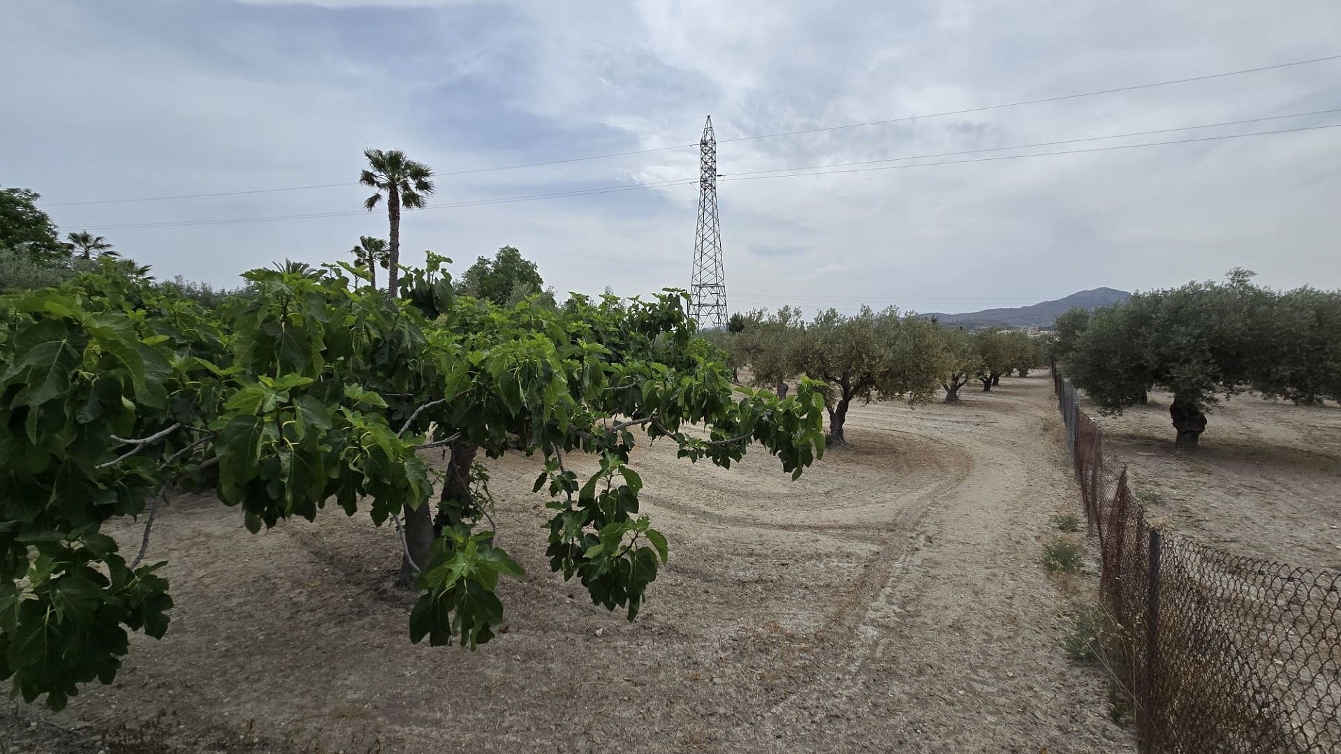 Resale - Investitionsprojekt -
SAX