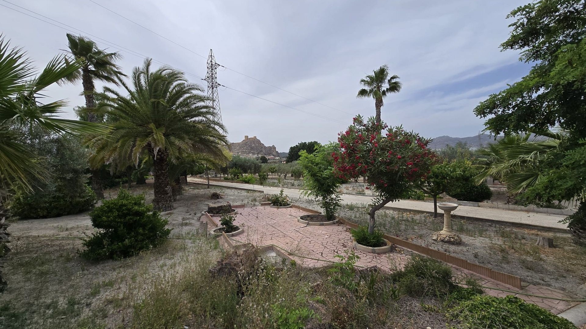 Resale - Investitionsprojekt -
SAX