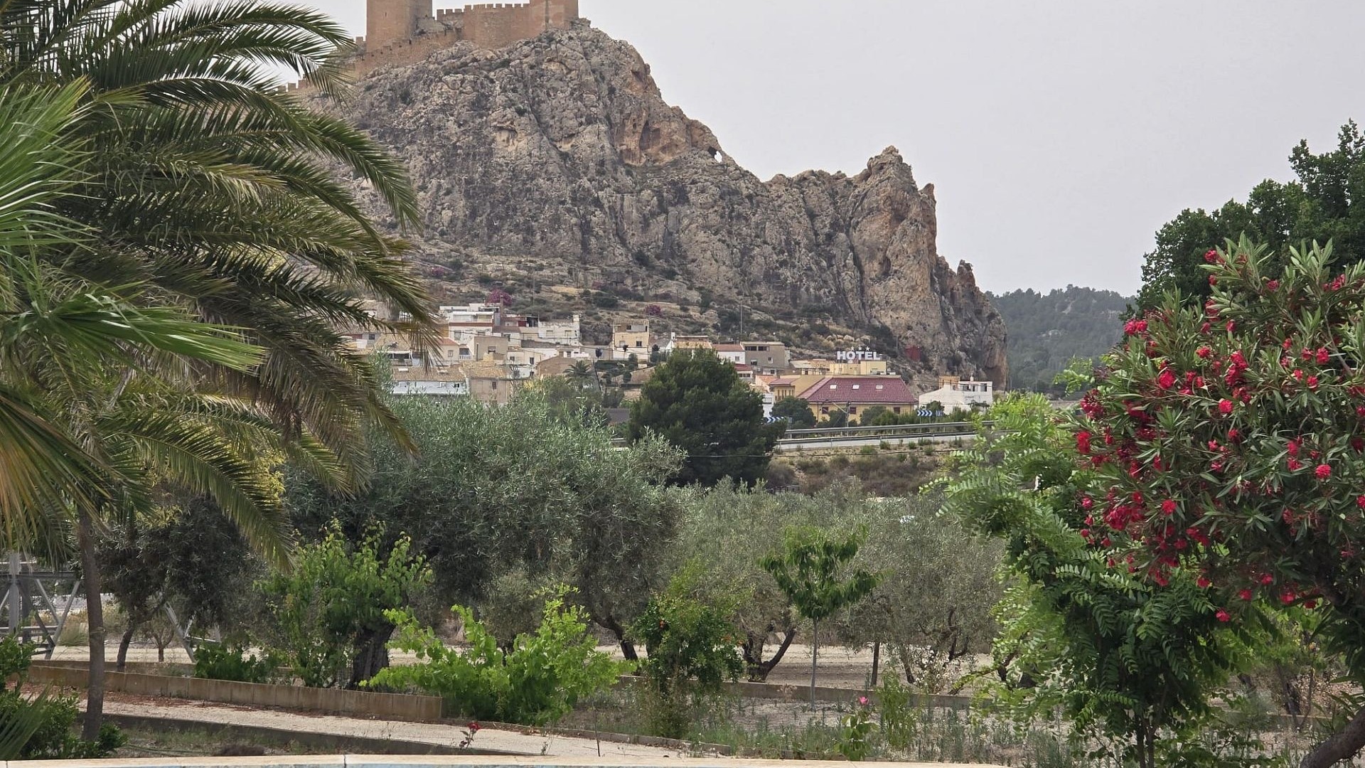 Resale - Investitionsprojekt -
SAX