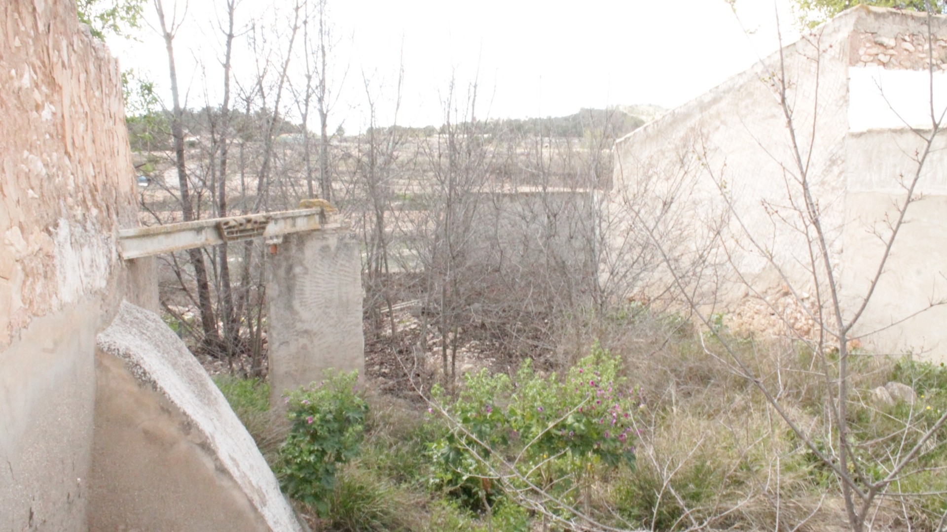 Resale - Investitionsprojekt -
&Uacute;beda - &Uacute;beda Alicante