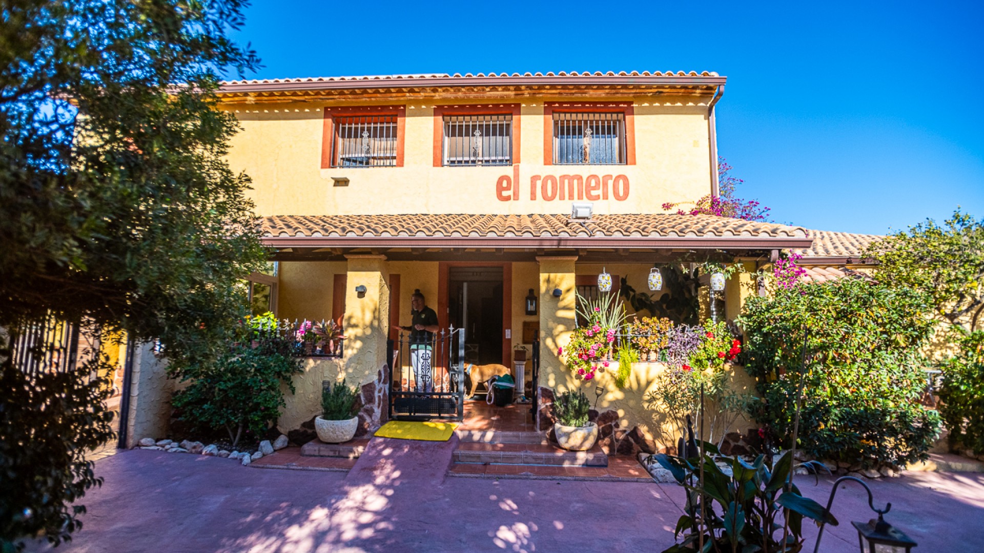 Resale - Kommerziell -
Hondón de las Nieves - Hondón De Las Nieves