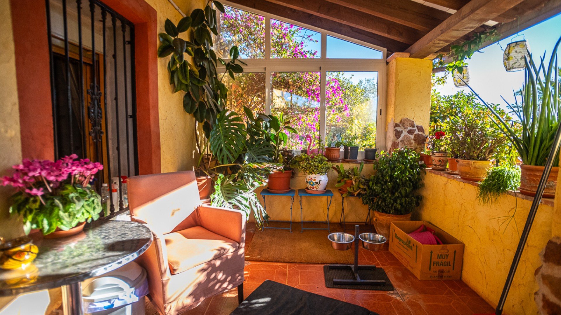 Resale - Kommerziell -
Hondón de las Nieves - Hondón De Las Nieves