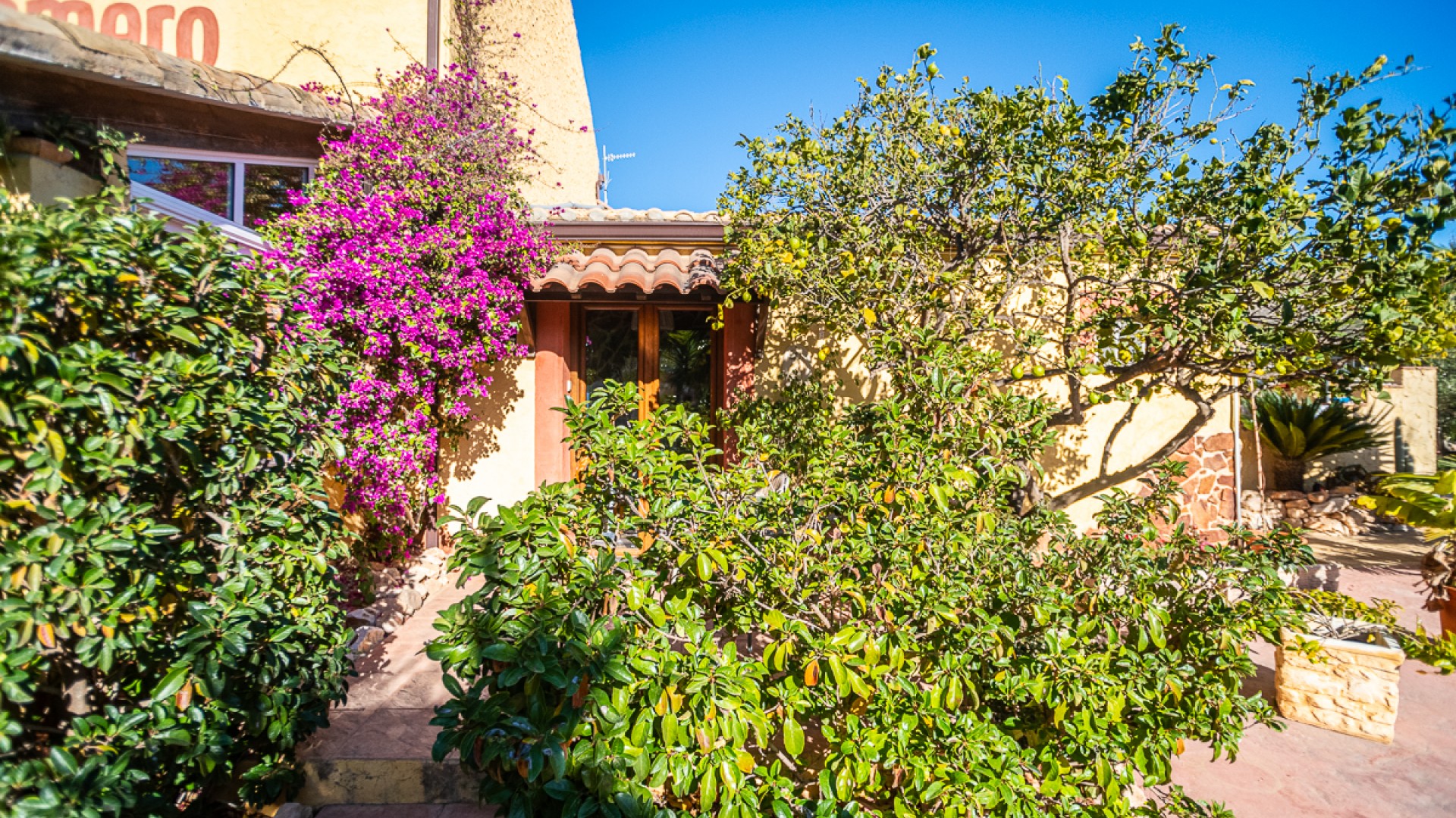 Resale - Kommerziell -
Hondón de las Nieves - Hondón De Las Nieves