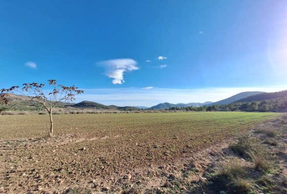  - Resale - Monovar - Monovar