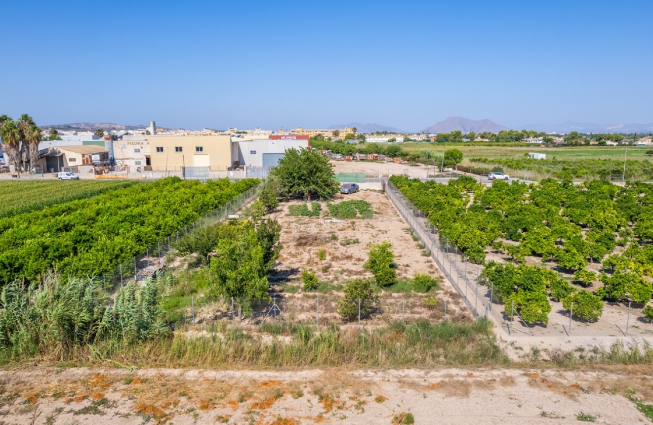 Resale - Plot / Land -
Formentera del Segura - Formentera de Segura