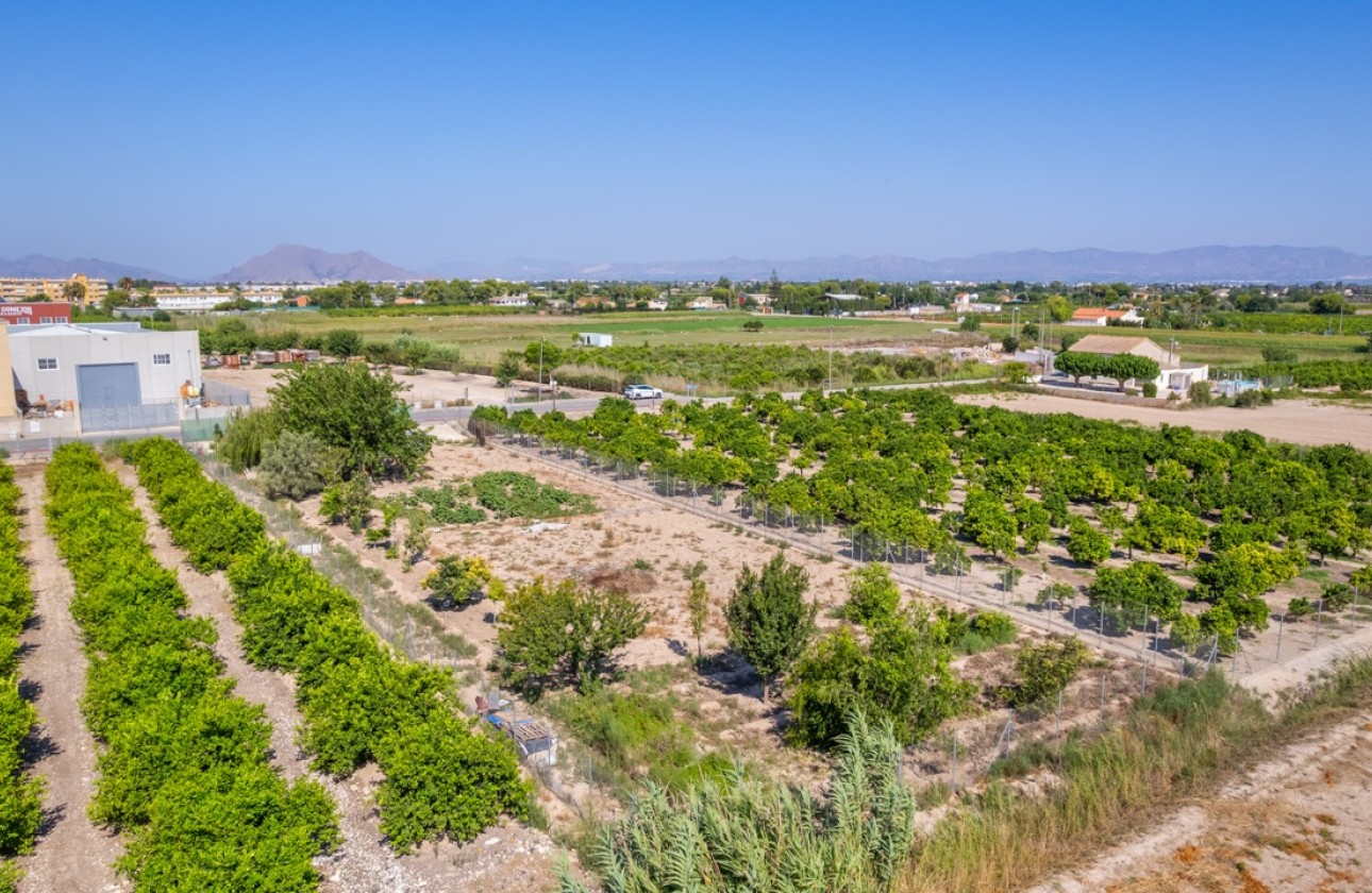 Resale - Plot / Land -
Formentera del Segura - Formentera de Segura