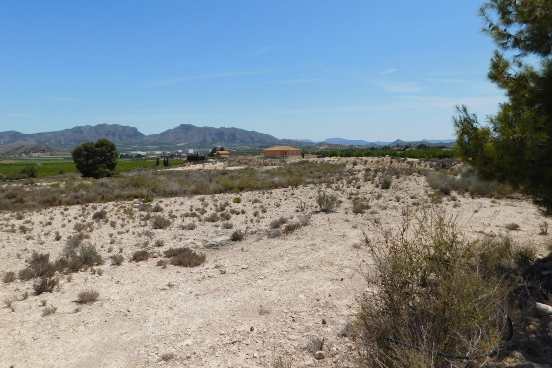 Resale - Plot / Land -
Fortuna - FORTUNA (MURCIA)