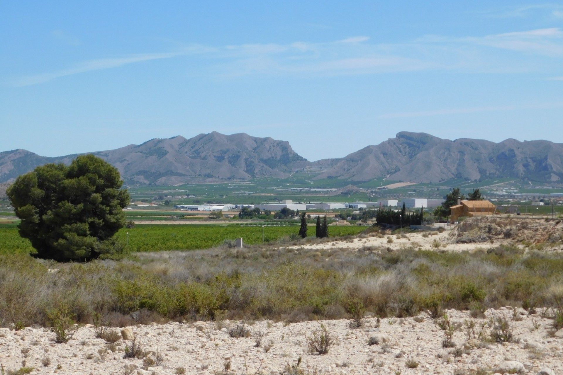 Resale - Plot / Land -
Fortuna - FORTUNA (MURCIA)