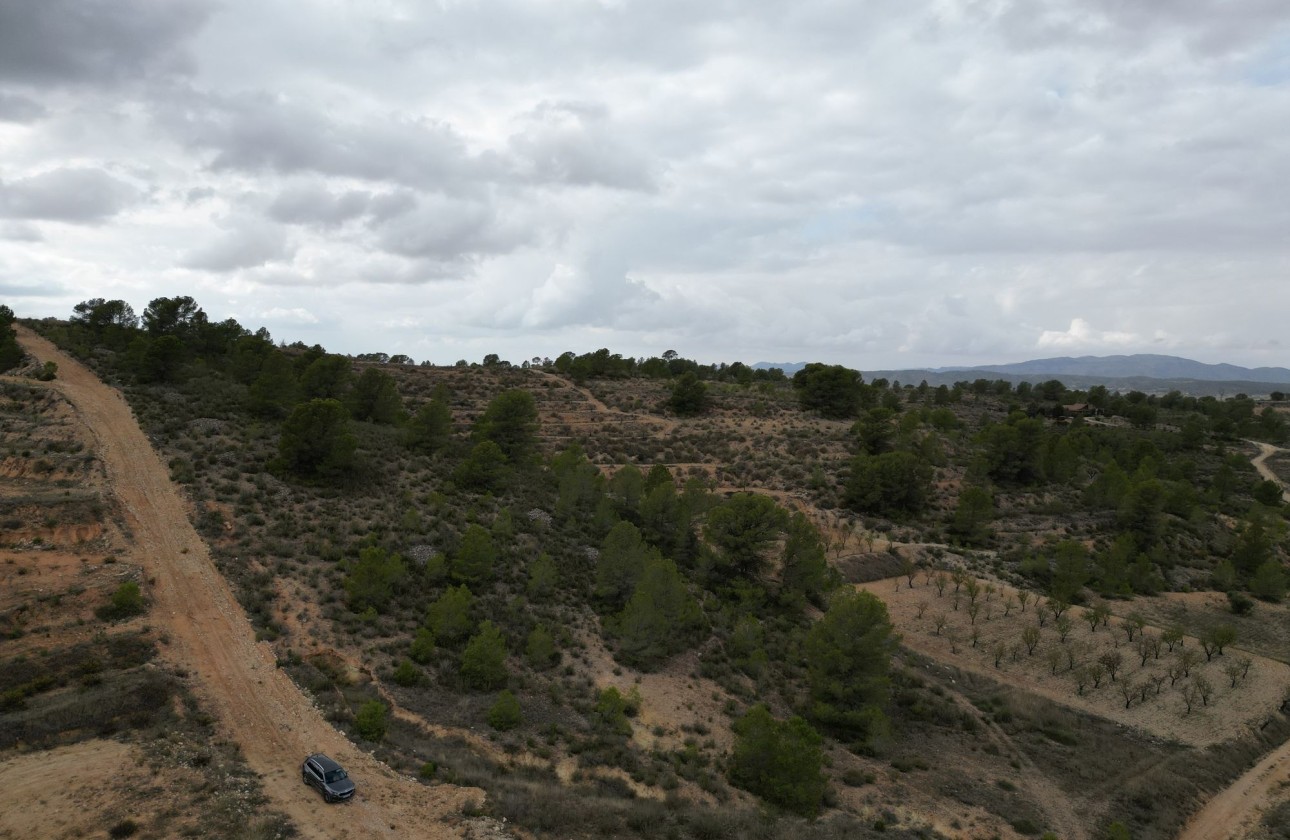 Resale - Plot / Land -
La Zarza