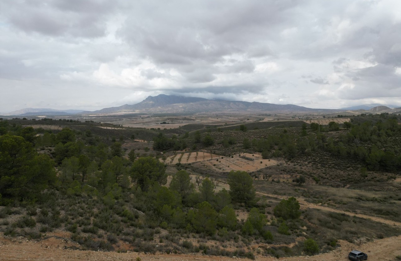 Resale - Plot / Land -
La Zarza
