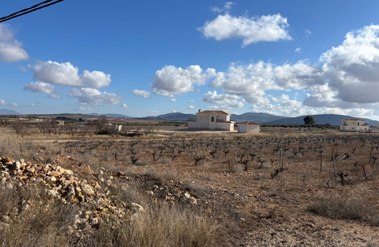 Resale - Plot / Land -
Pinoso - el Pinós / Pinoso