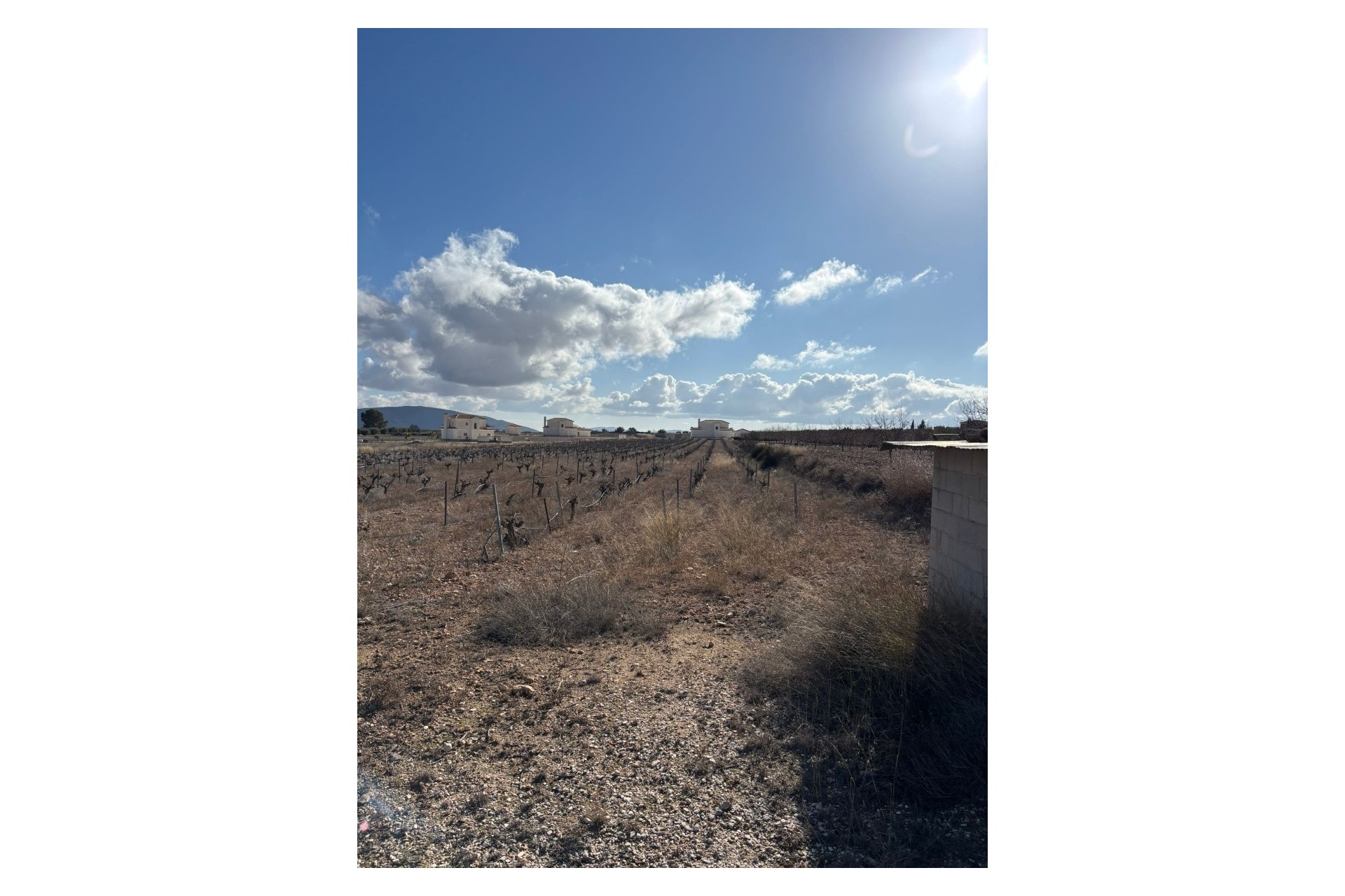 Resale - Plot / Land -
Pinoso - el Pinós / Pinoso