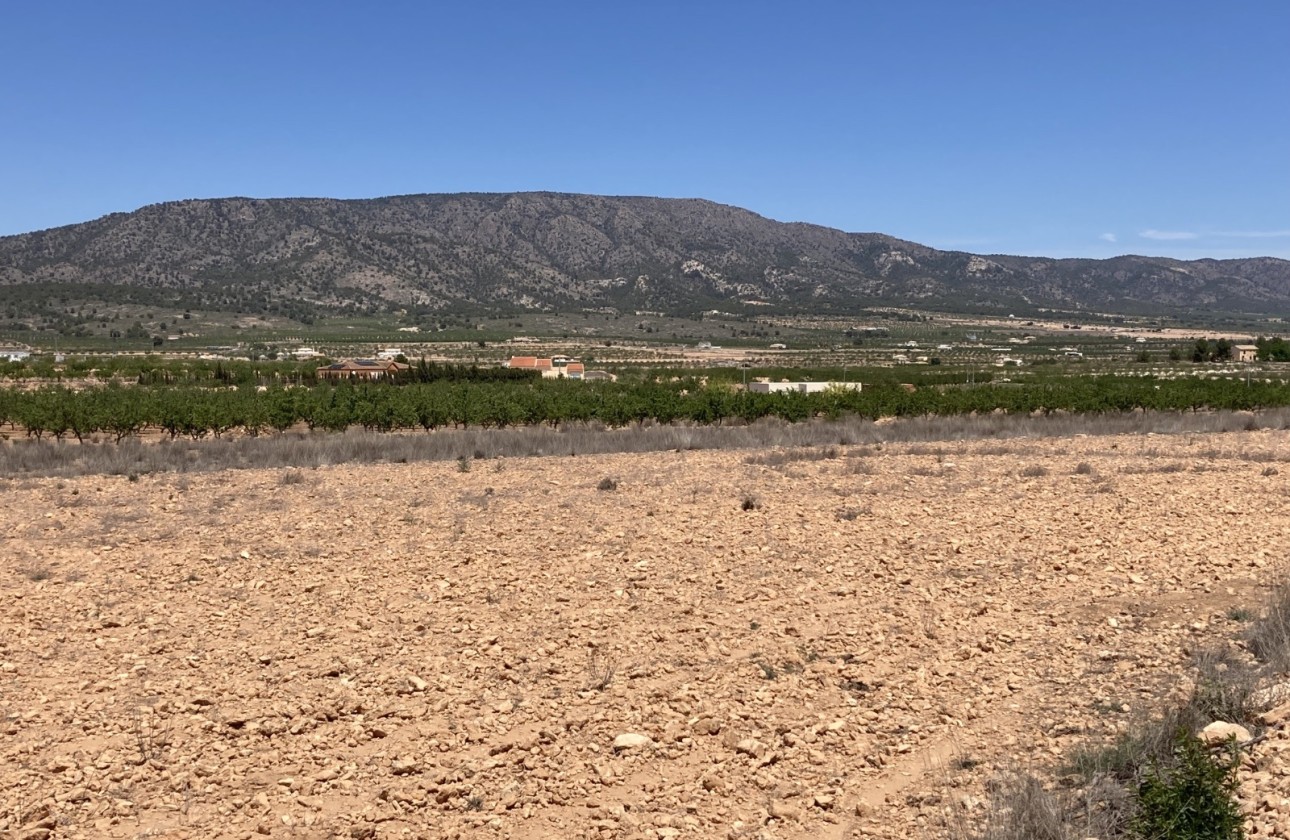 Resale - Plot / Land -
Pinoso - Lel