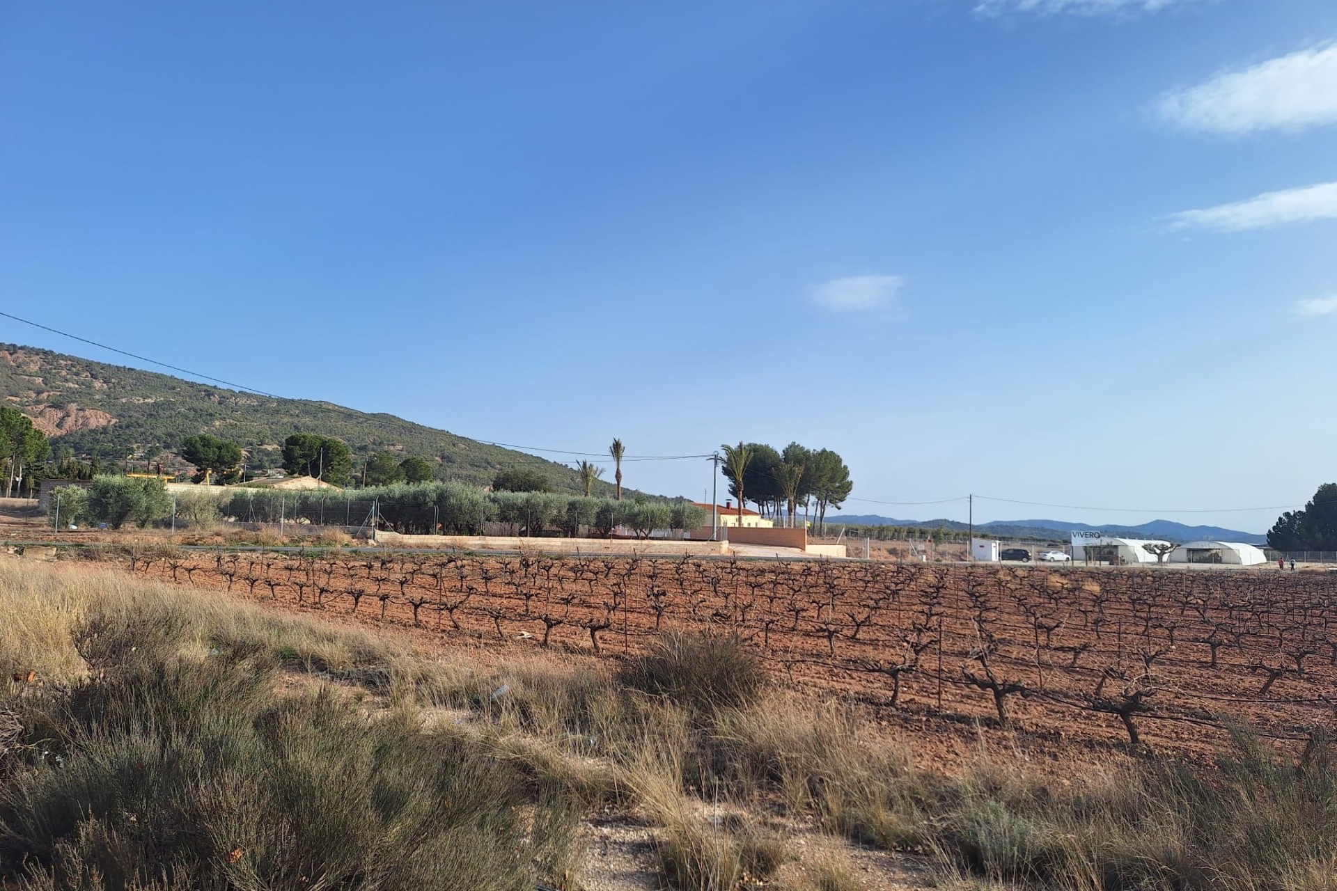 Resale - Plot / Land -
Pinoso