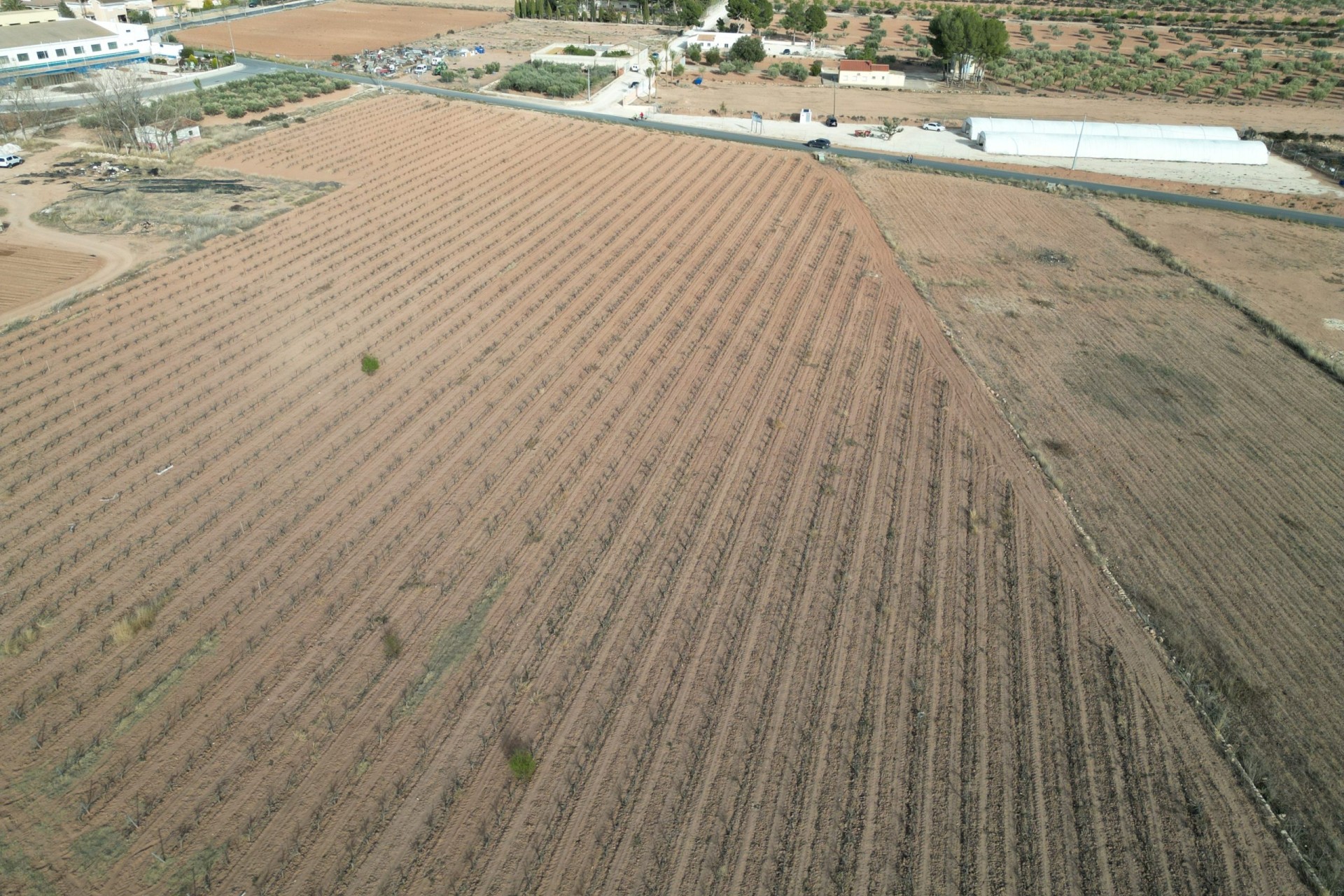 Resale - Plot / Land -
Pinoso