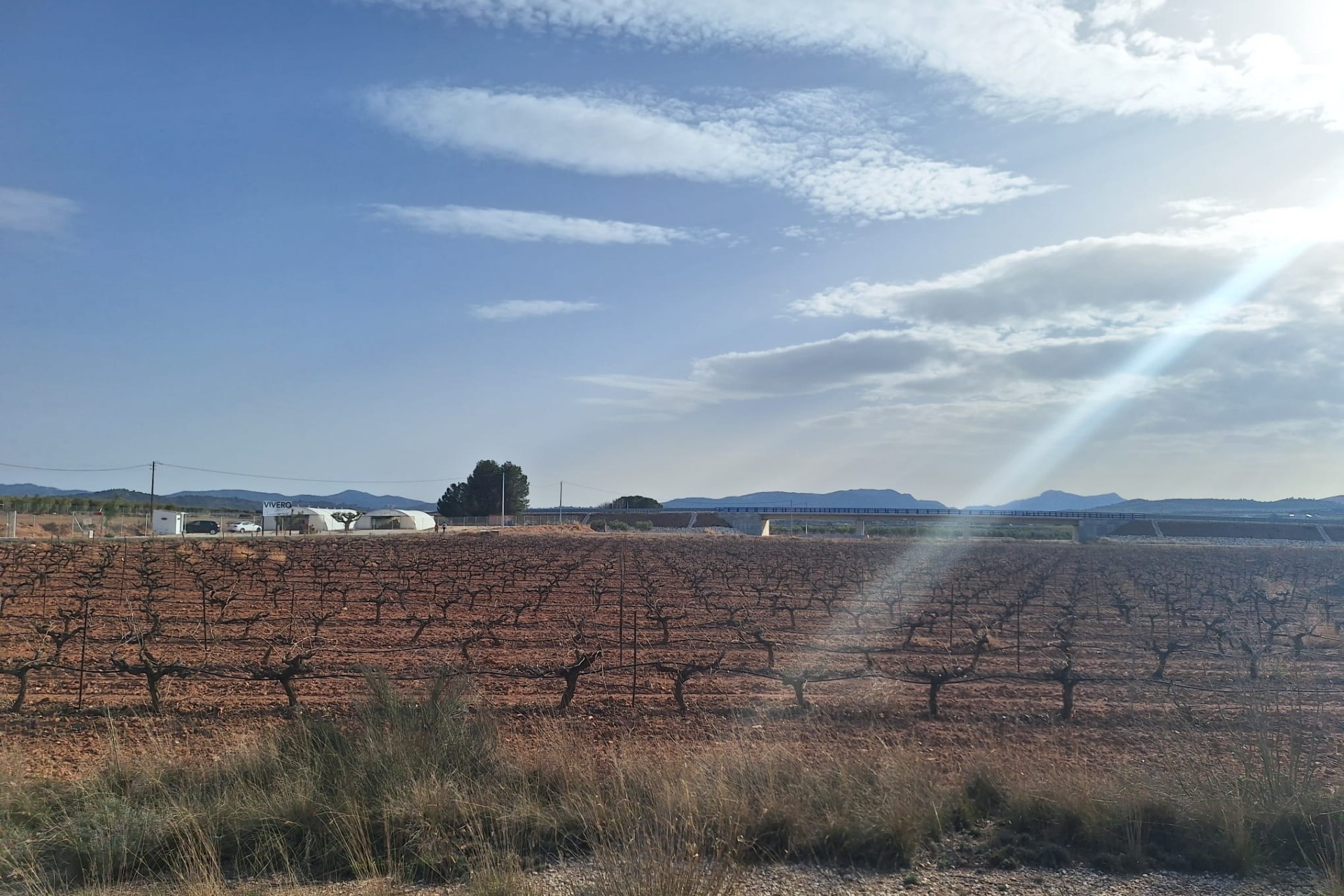 Resale - Plot / Land -
Pinoso