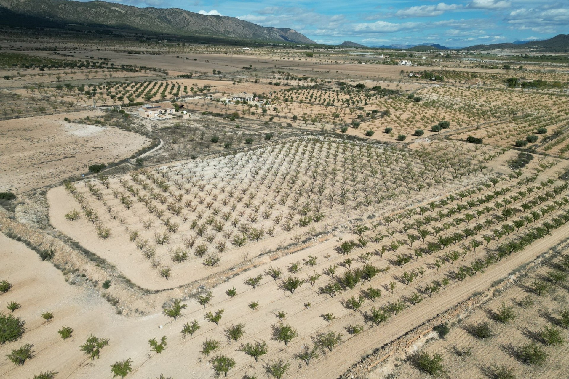 Resale - Plot / Land -
Pinoso