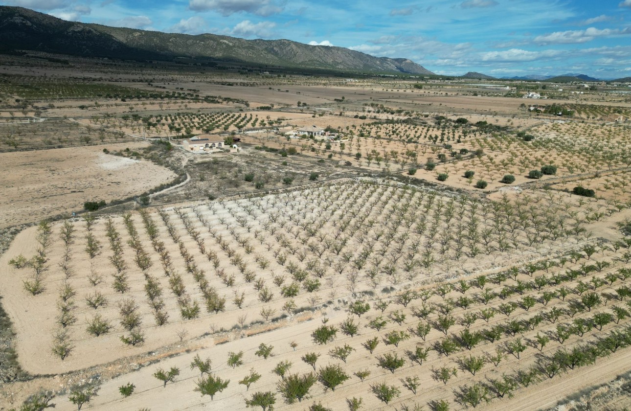 Resale - Plot / Land -
Pinoso