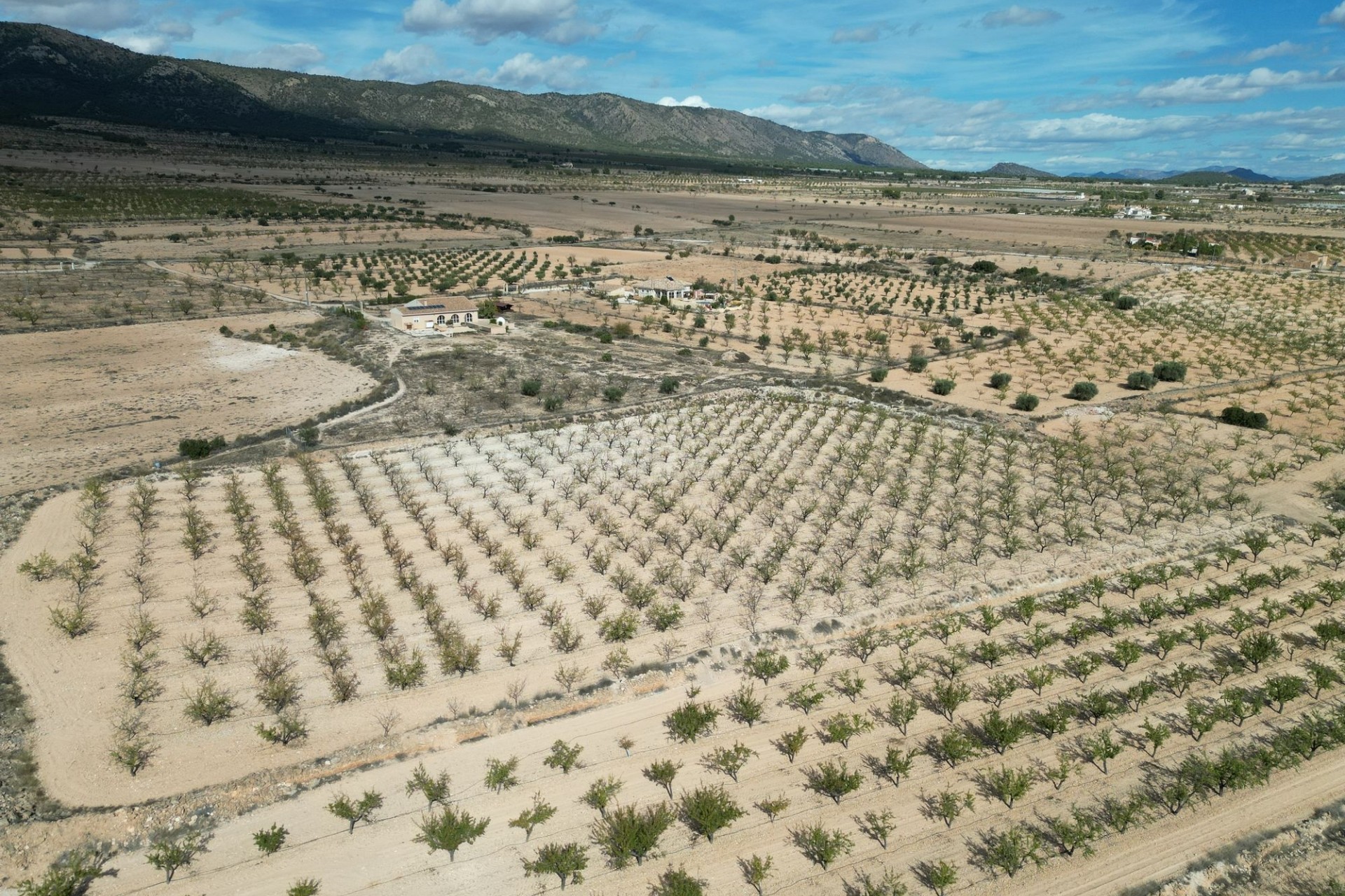 Resale - Plot / Land -
Pinoso