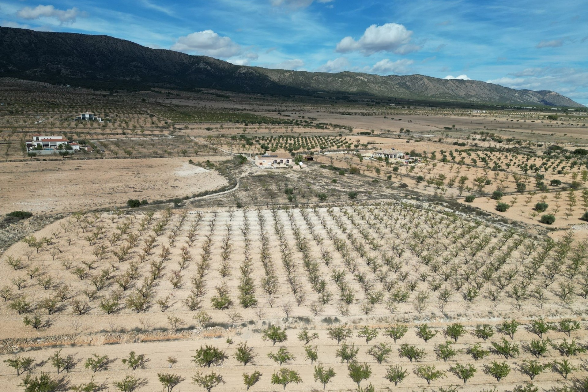 Resale - Plot / Land -
Pinoso