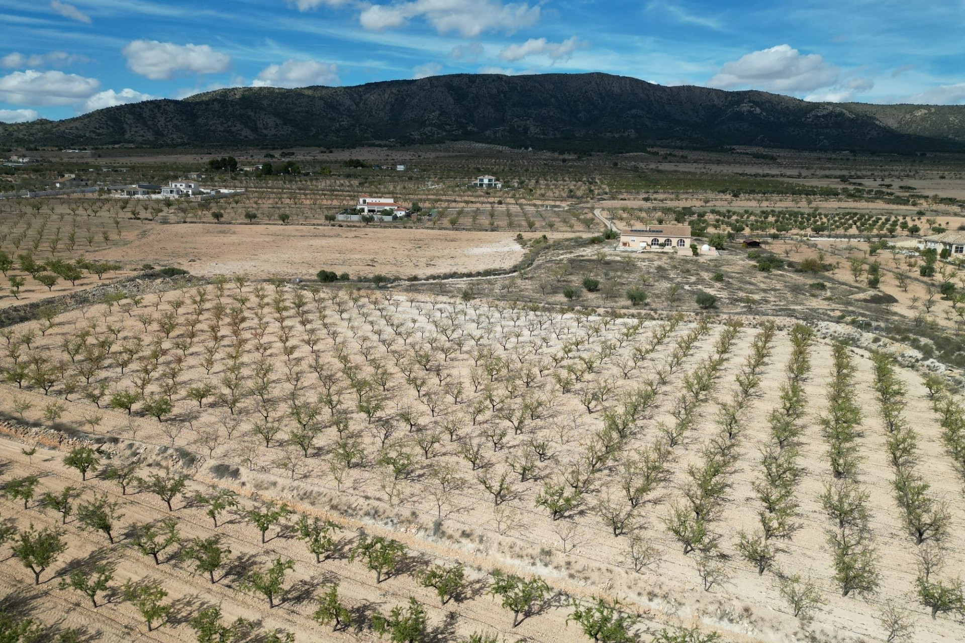 Resale - Plot / Land -
Pinoso