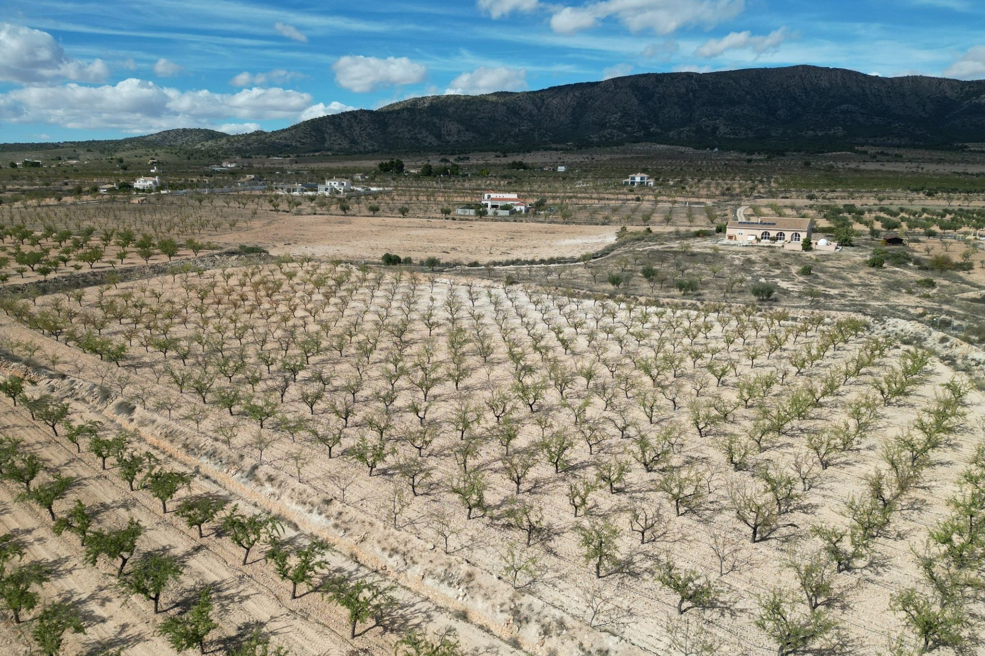 Resale - Plot / Land -
Pinoso