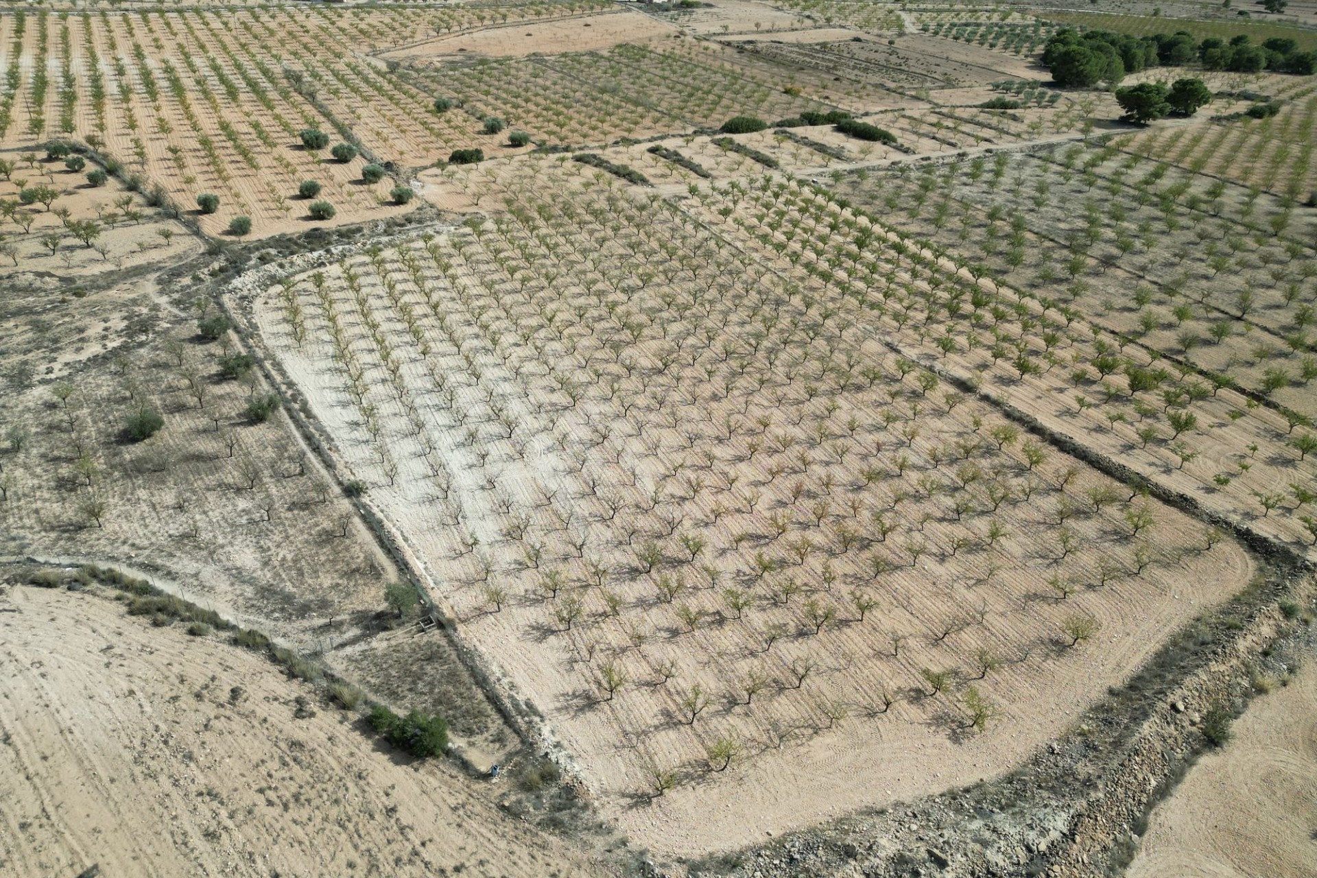 Resale - Plot / Land -
Pinoso