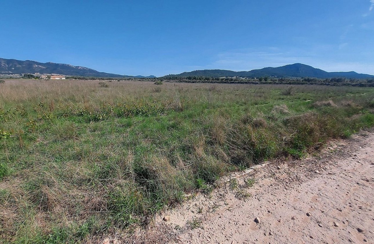 Resale - Plot / Land -
Salinas