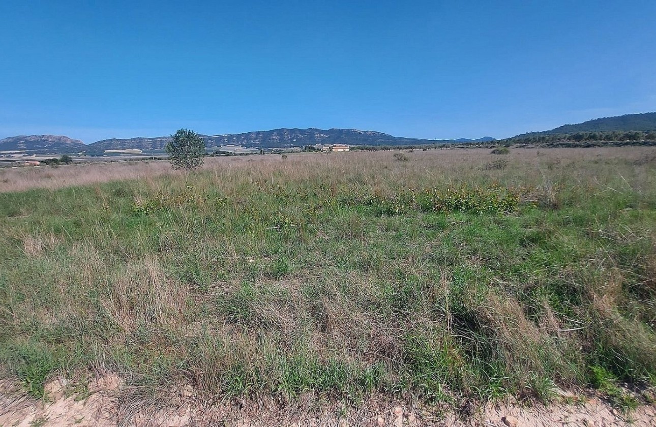 Resale - Plot / Land -
Salinas