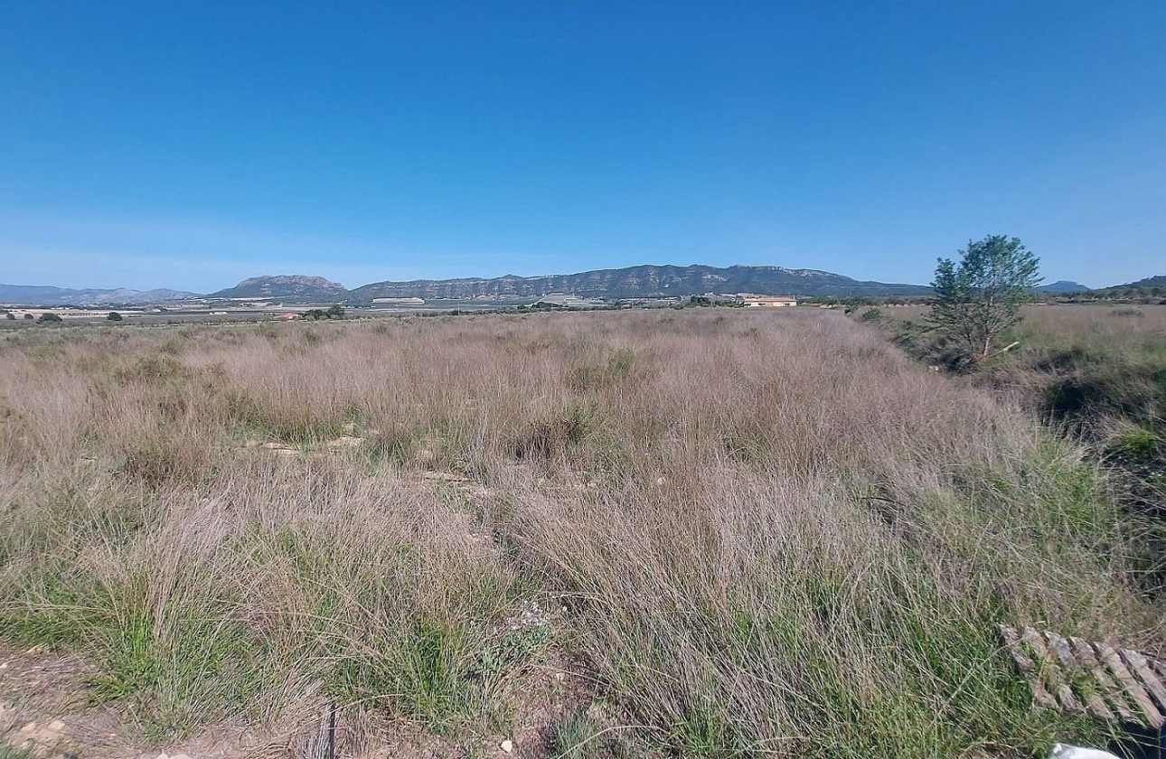 Resale - Plot / Land -
Salinas