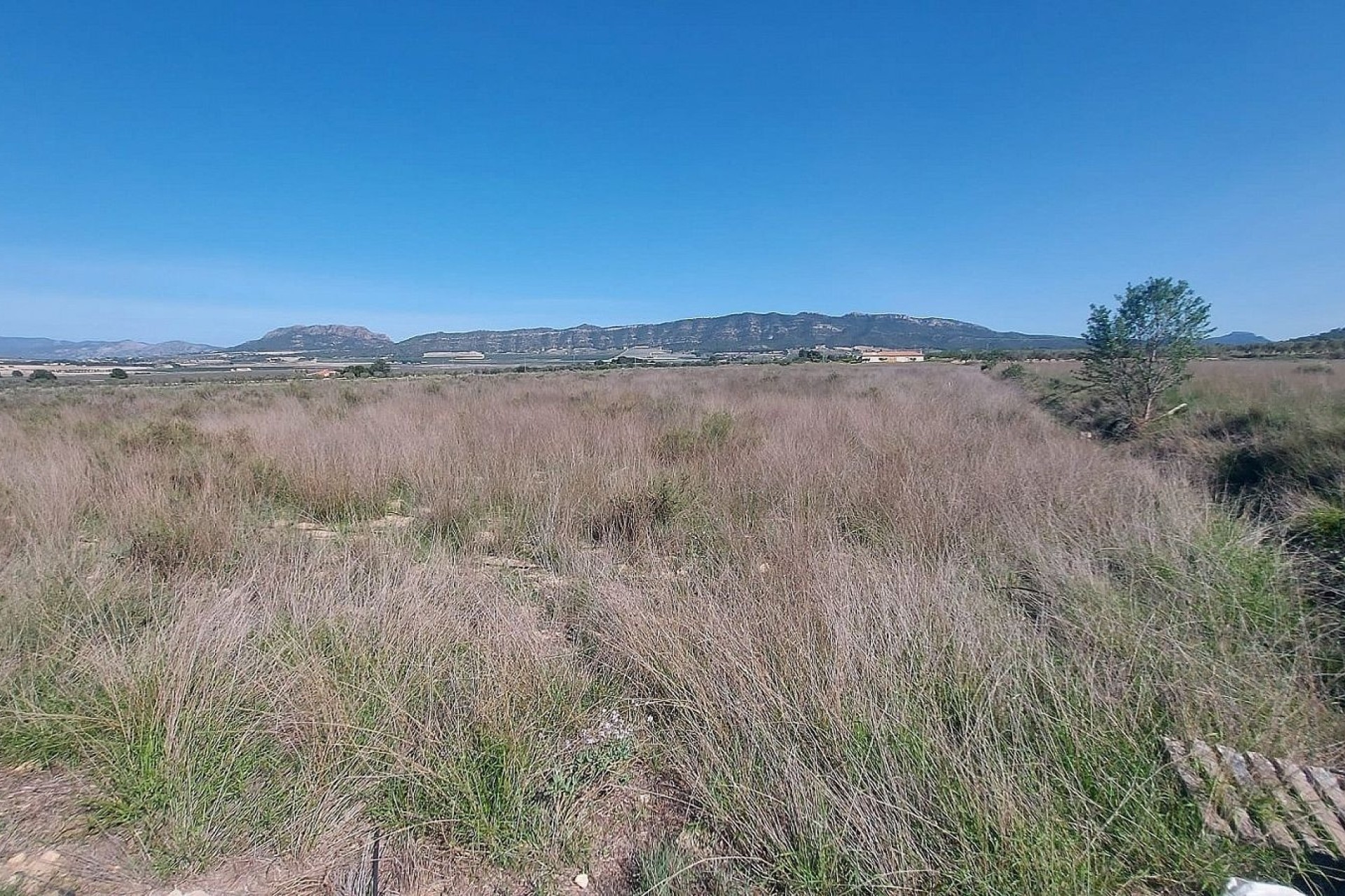 Resale - Plot / Land -
Salinas