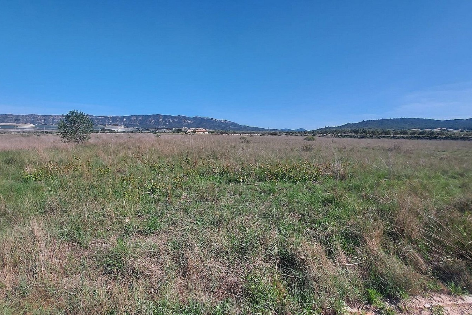 Resale - Plot / Land -
Salinas