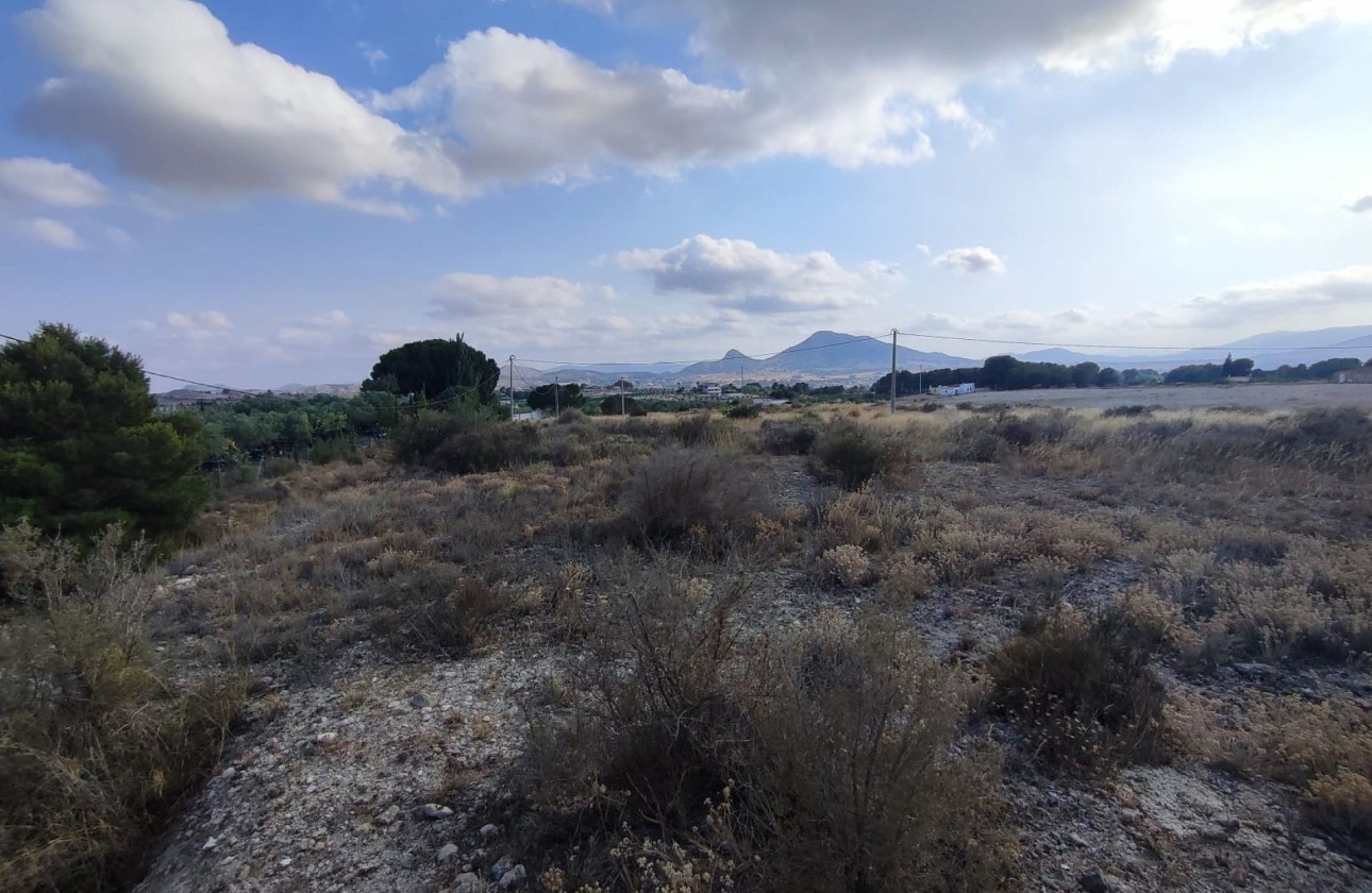 Resale - Plot / Land -
Sax - SAX