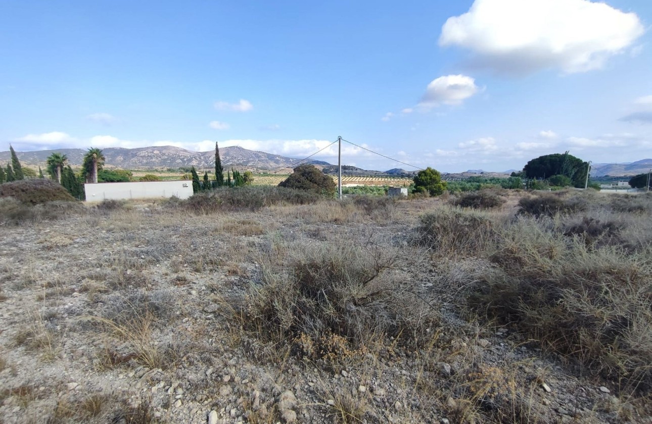 Resale - Plot / Land -
Sax - SAX