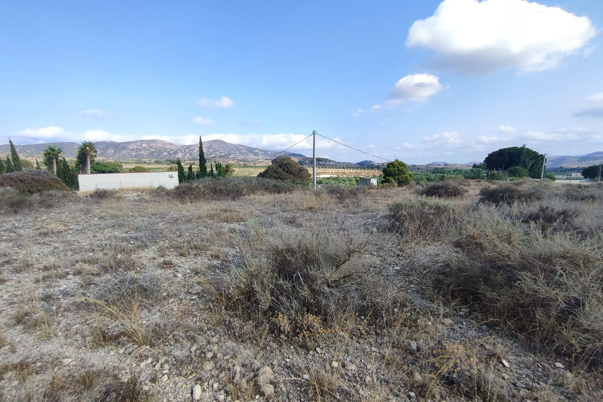 Resale - Plot / Land -
Sax - SAX