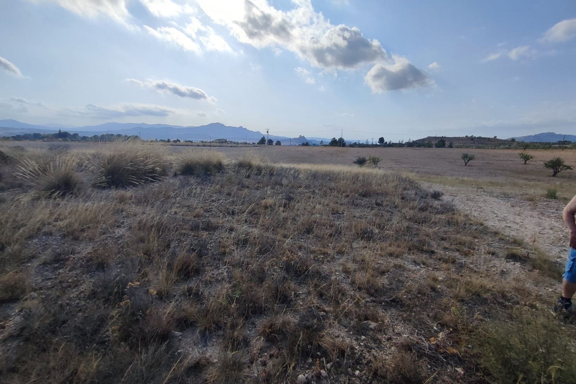 Resale - Plot / Land -
Sax - SAX