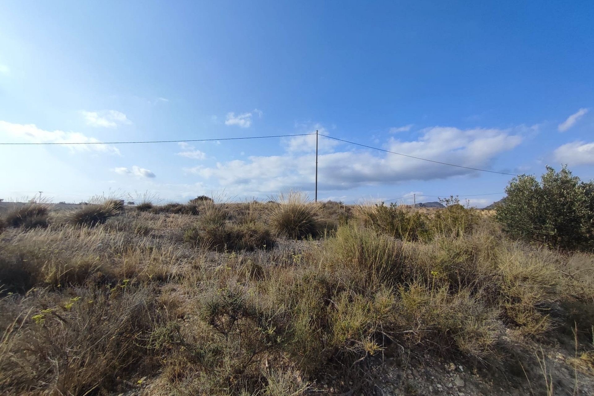Resale - Plot / Land -
Sax - SAX