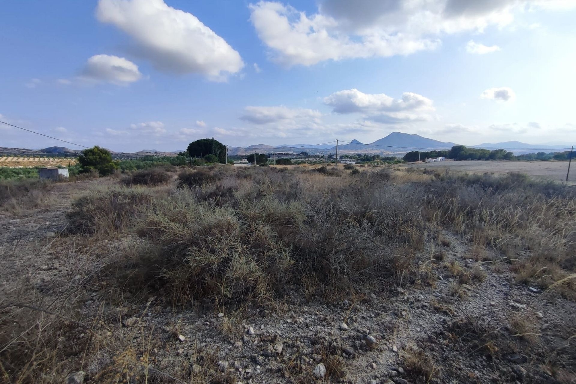 Resale - Plot / Land -
Sax - SAX