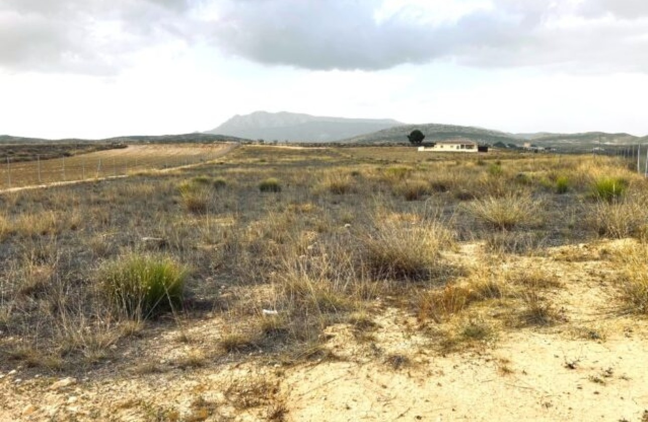 Resale - Plot / Land -
Torre del Rico