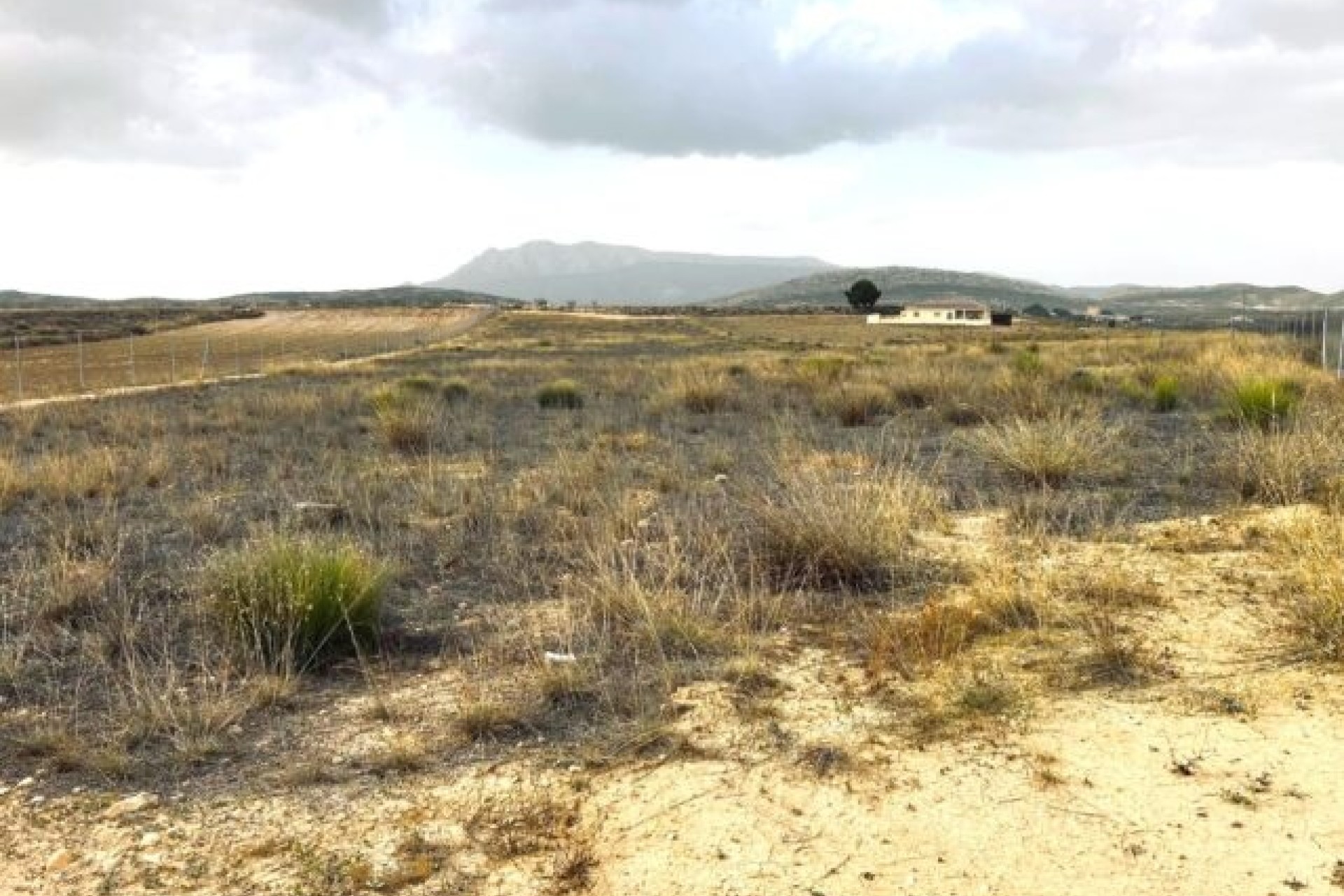 Resale - Plot / Land -
Torre del Rico