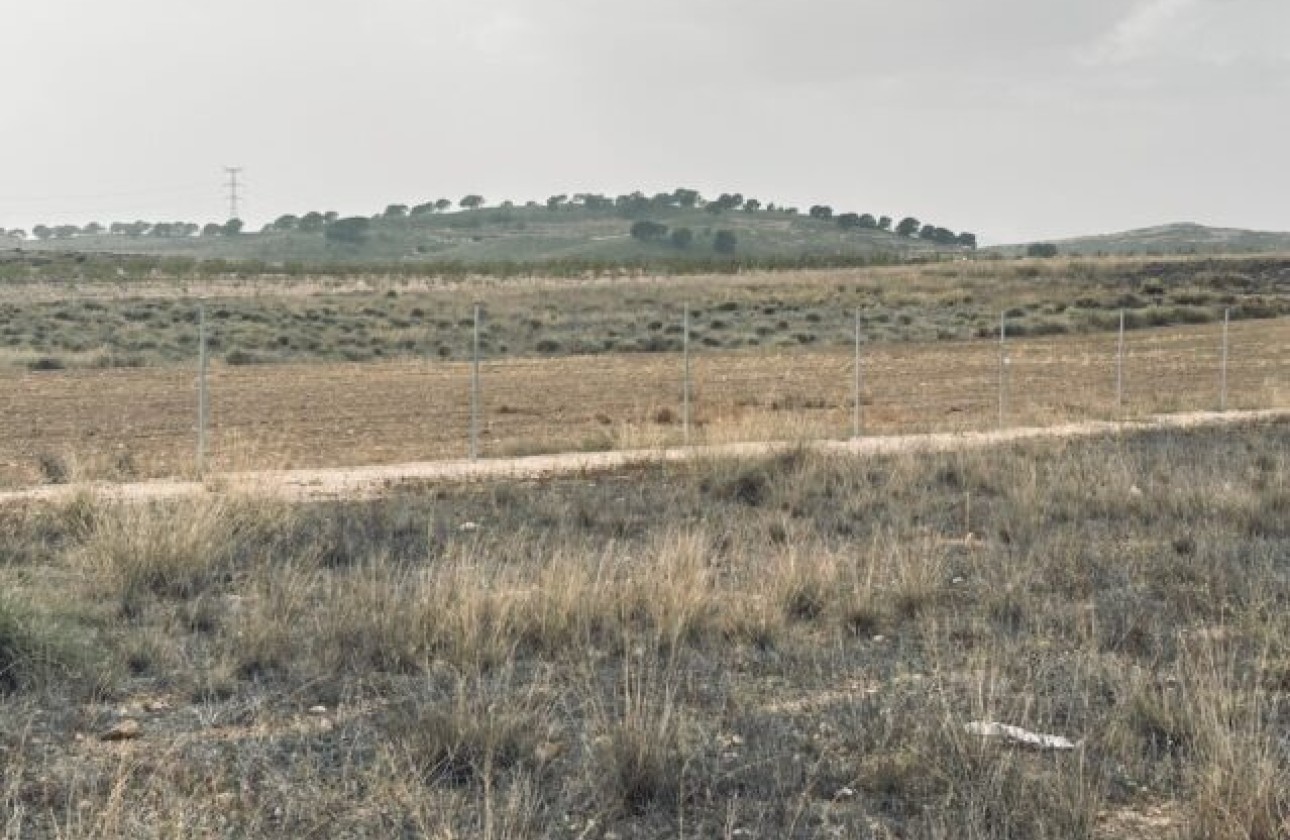 Resale - Plot / Land -
Torre del Rico