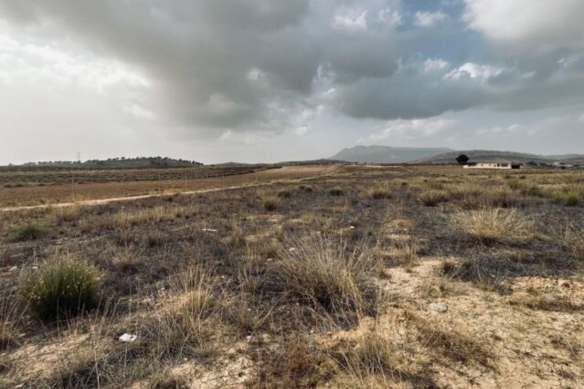 Resale - Plot / Land -
Torre del Rico