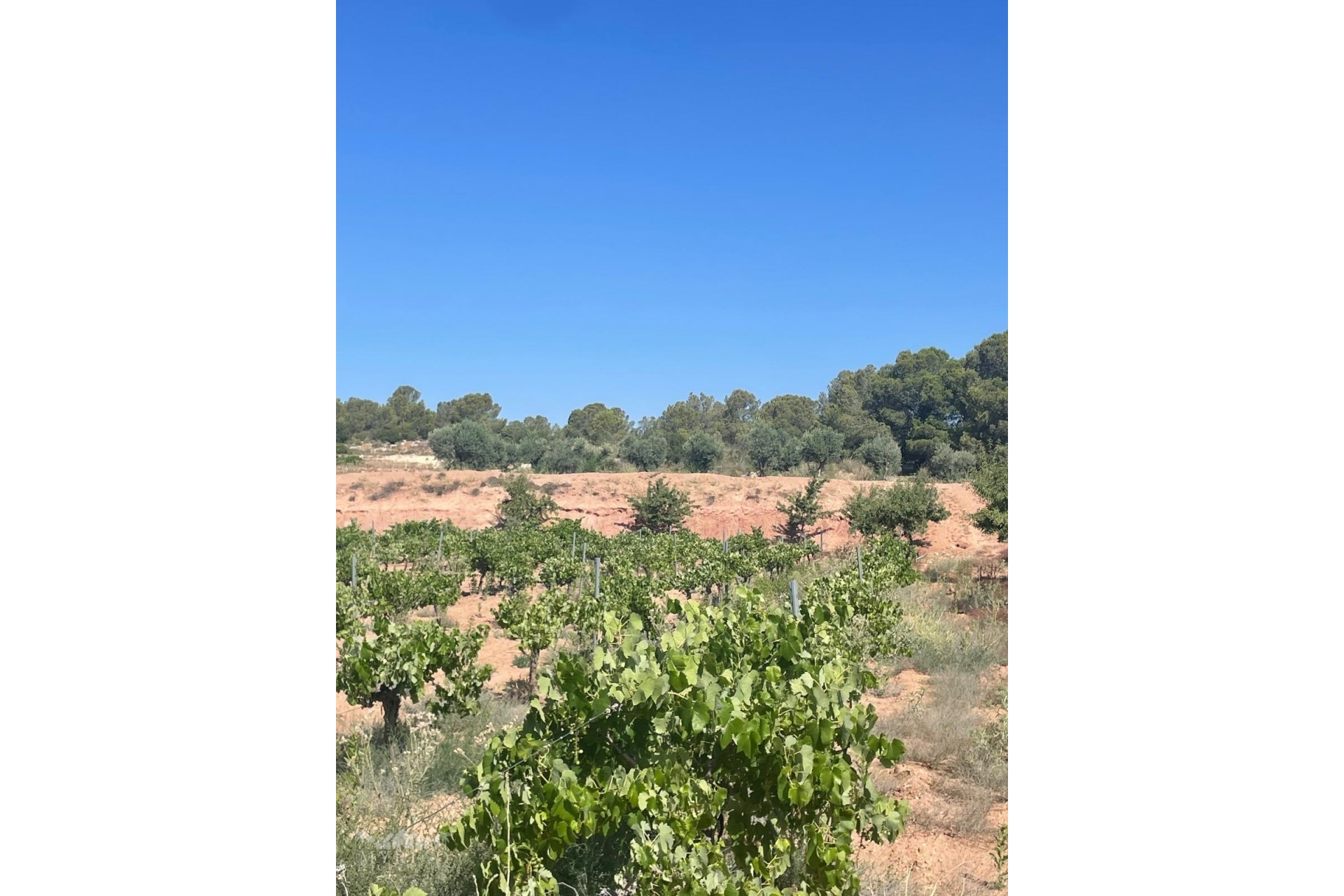 Resale - Plot / Land -
&Uacute;beda - &Uacute;beda Alicante
