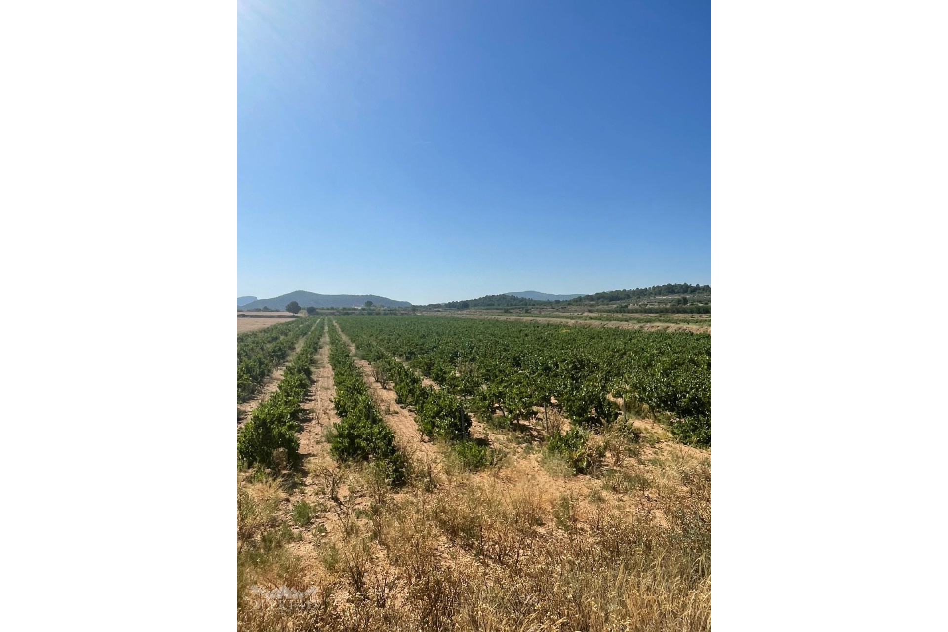Resale - Plot / Land -
&Uacute;beda - &Uacute;beda Alicante