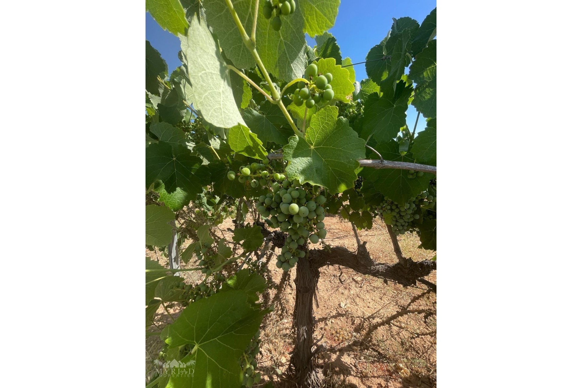 Resale - Plot / Land -
&Uacute;beda - &Uacute;beda Alicante