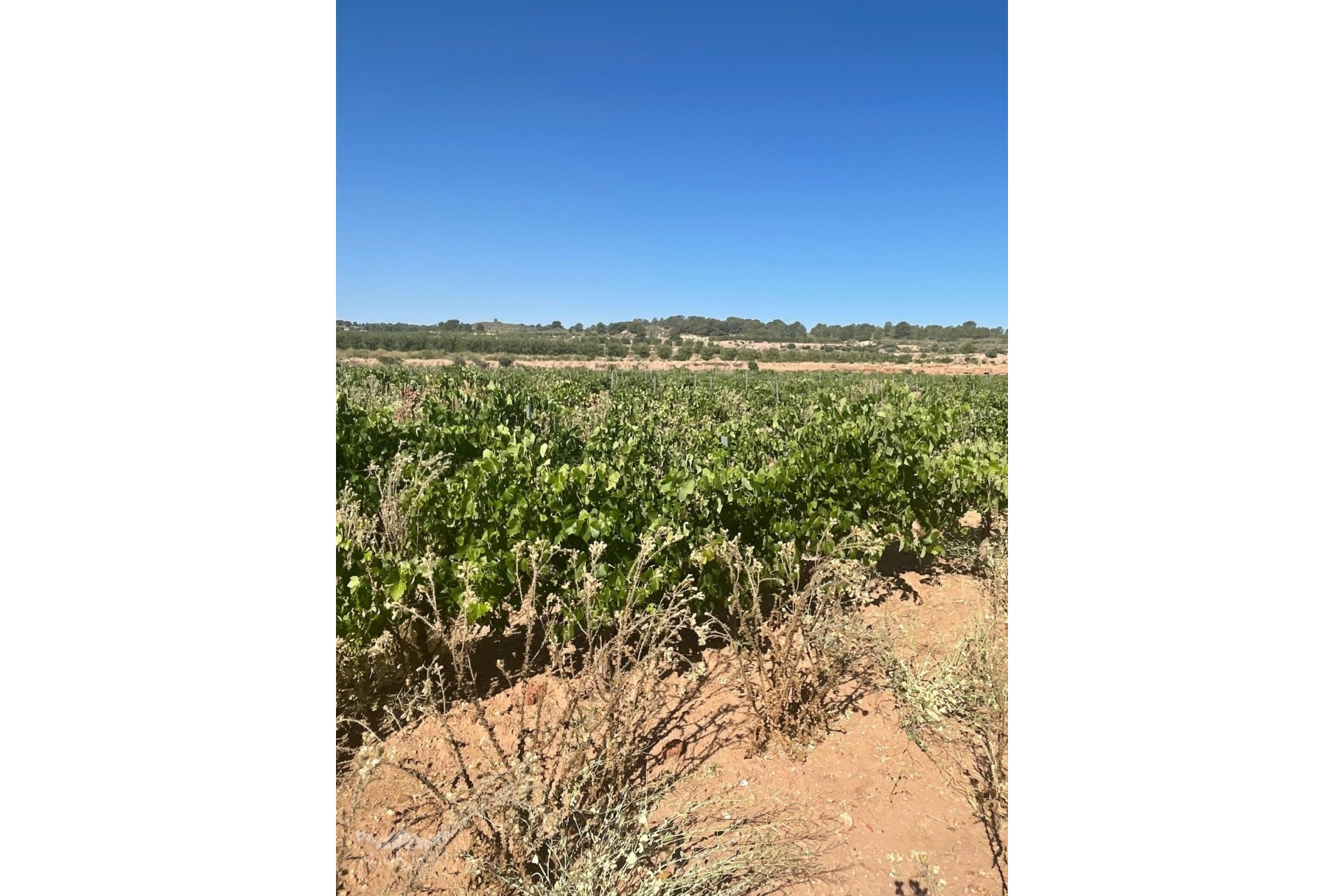 Resale - Plot / Land -
&Uacute;beda - &Uacute;beda Alicante