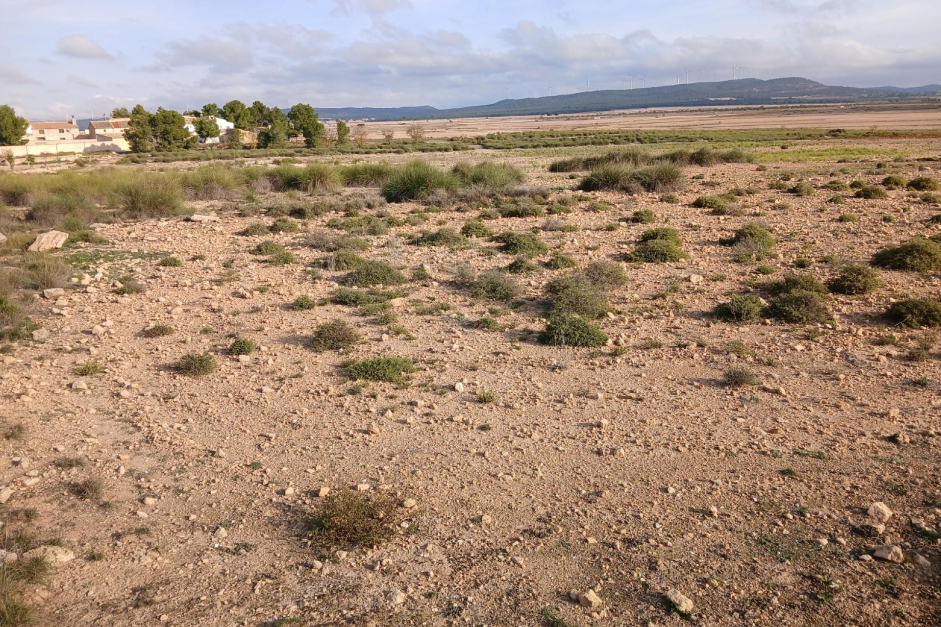 Resale - Plot / Land -
Yecla