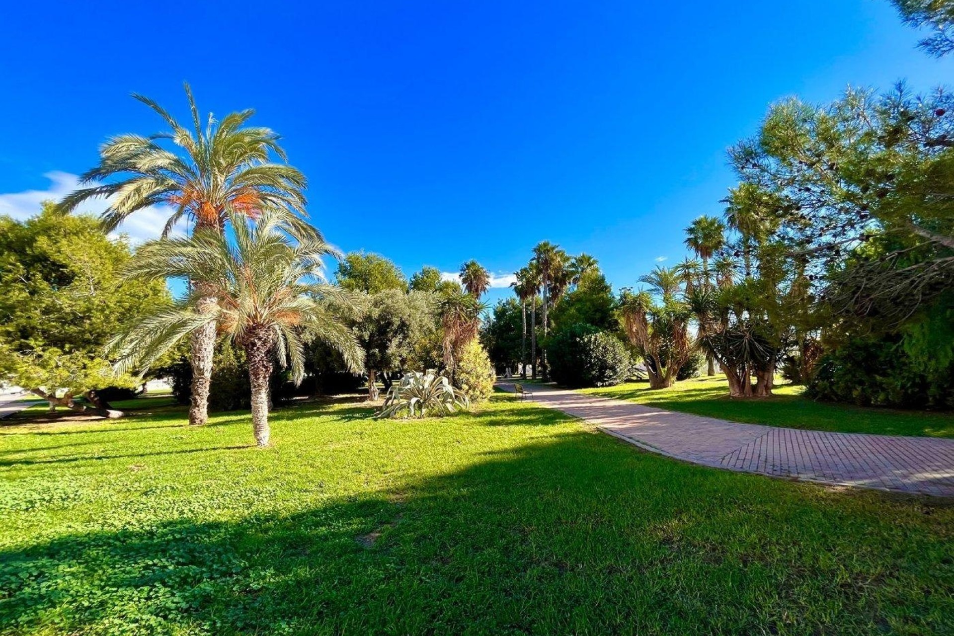Resale - Reihenhaus -
Torrevieja - Calas blanca