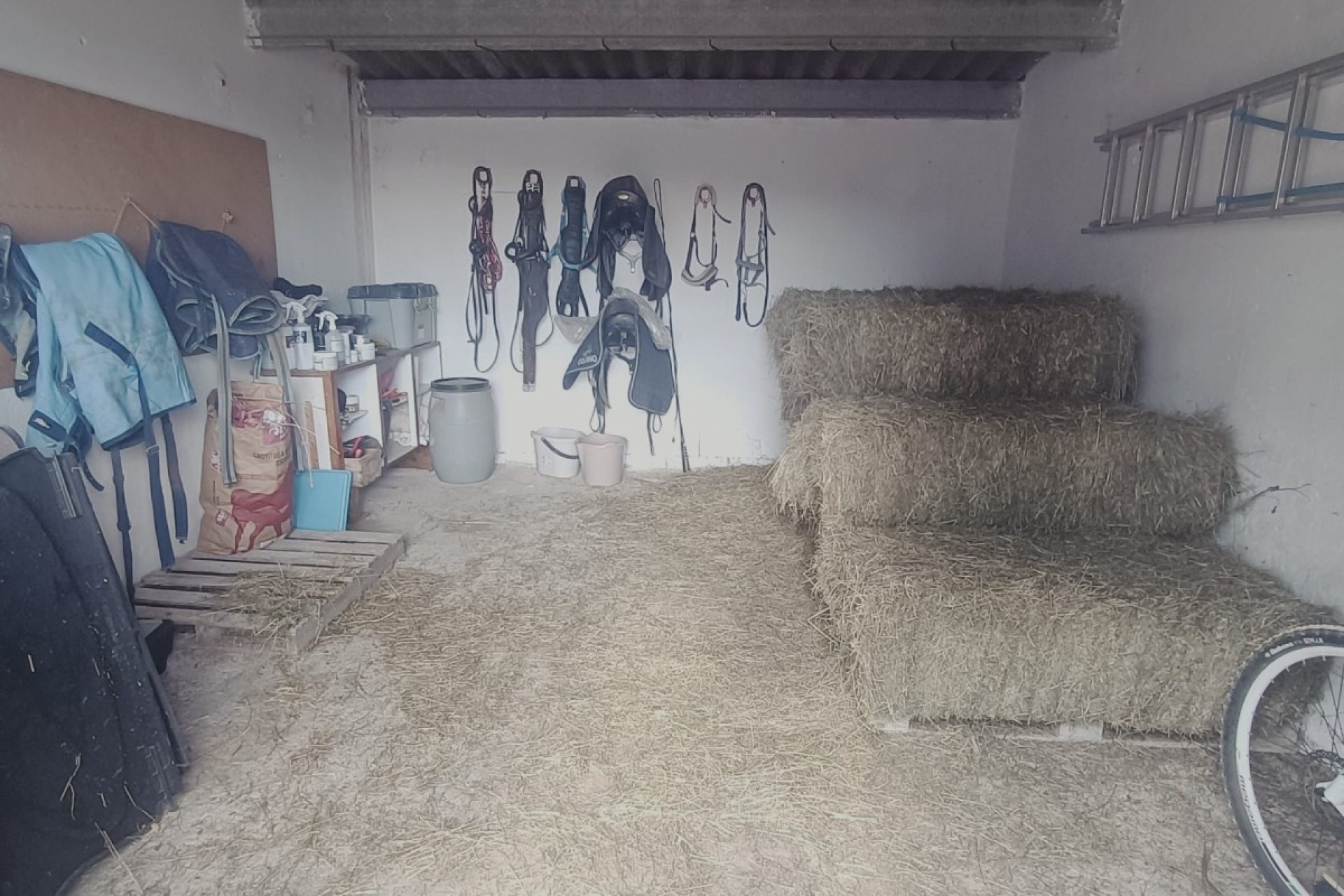 Resale - Reitergrundstück -
Monóvar