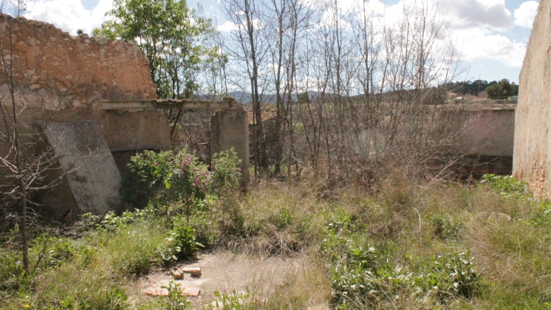 Resale - Restaurierungsprojekt -
Úbeda - Úbeda Alicante